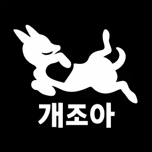 개조아