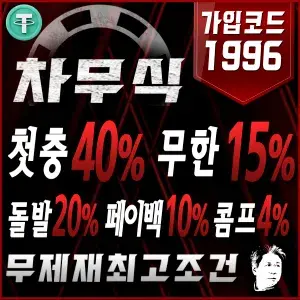 차무식벳